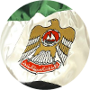 Middle East Flag